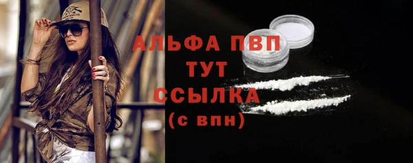 сатива Осташков