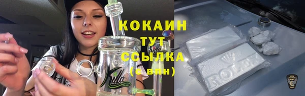 сатива Осташков