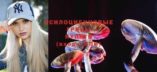 сатива Осташков