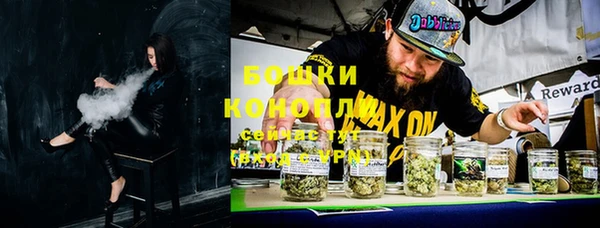 сатива Осташков