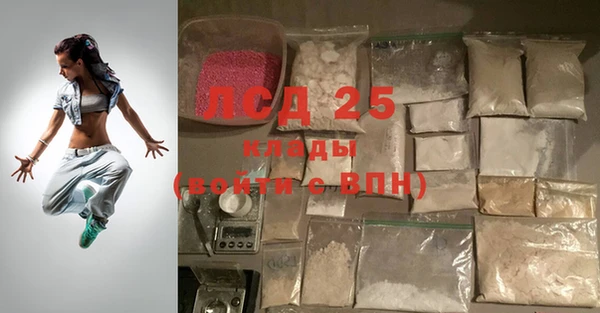 сатива Осташков