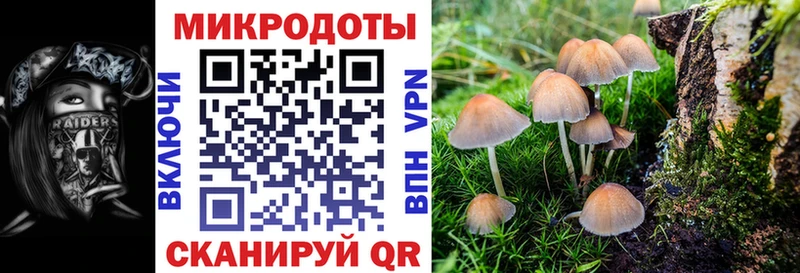 Галлюциногенные грибы ЛСД  Купить закладки  Карпинск 