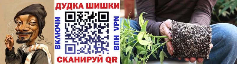 Бошки марихуана MAZAR  Купить закладки  Карпинск 